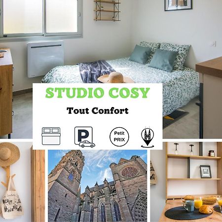 Studio Cosy - Tout Confort Родез Екстериор снимка